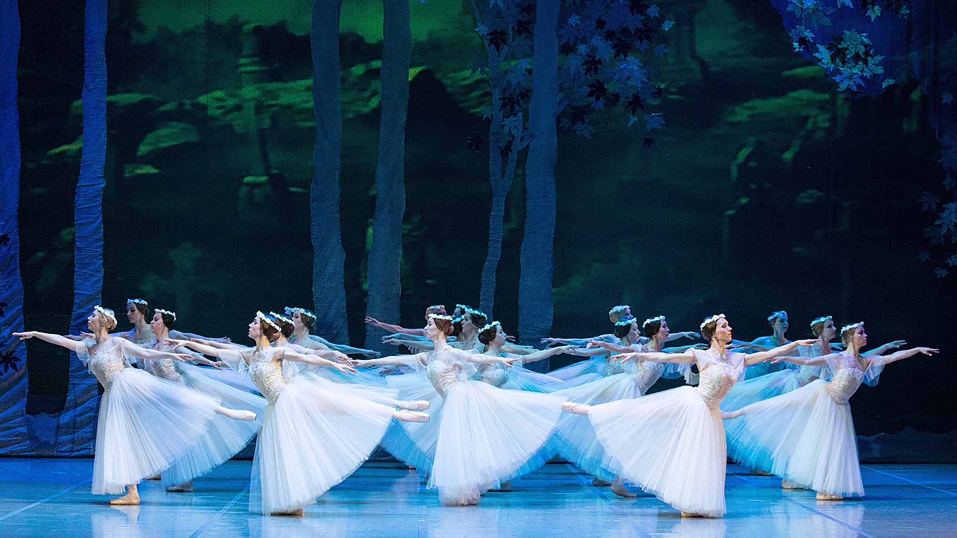 Varna International Ballet Giselle Tickets New Wimbledon Theatre in